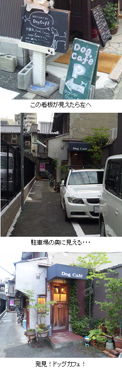 「dog cafe」っていう名前の京都烏丸のドッグカフェ